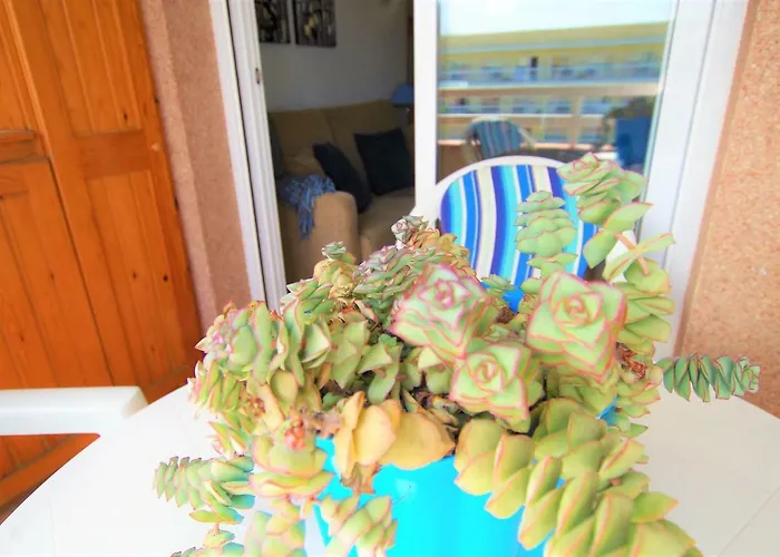 Apartamento V&v Lloret - Blau